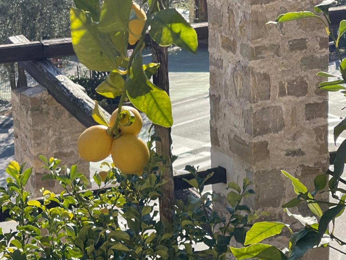 Casa Limone Limone sul Garda