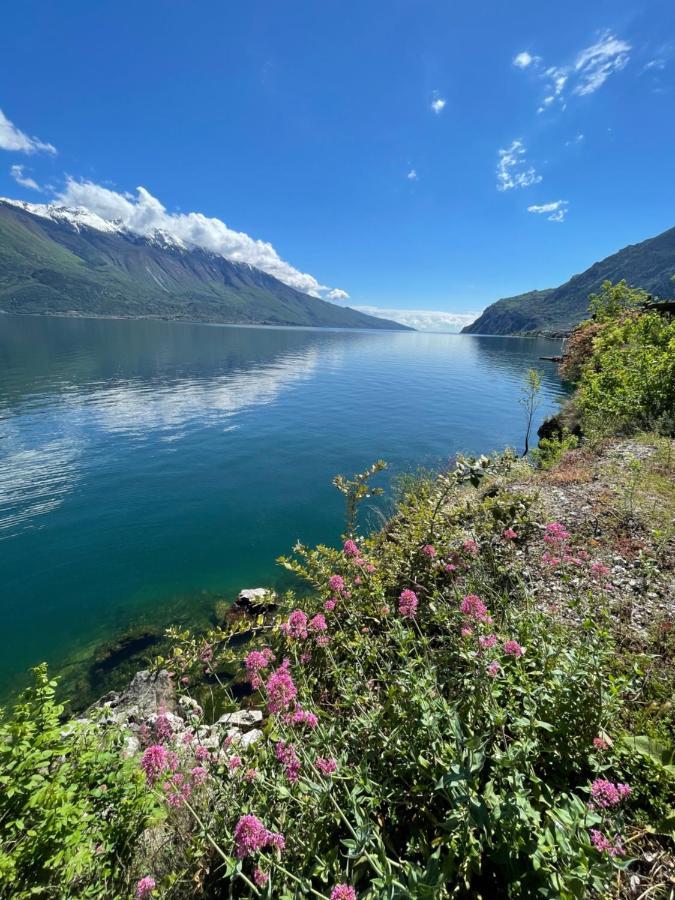 Affittacamere Casa Limone